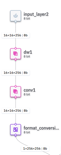 Depthwise convolution is parsed corerectly at first;  Format conversion node appends an extra 1x dim