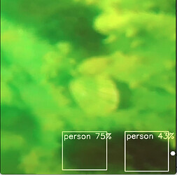 Screenshot from 2026-06-05 11-00-26